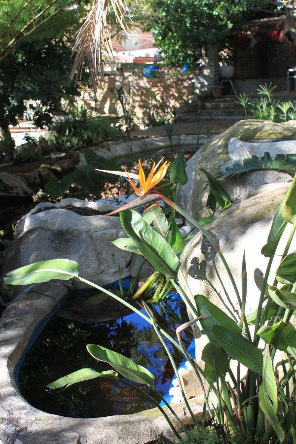 Schuilhoek Garden Terraces - Self Catering Cidade Do Cabo Exterior foto